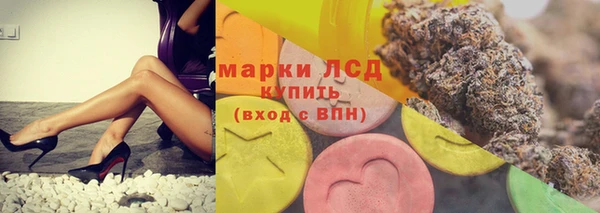 apvp Алзамай