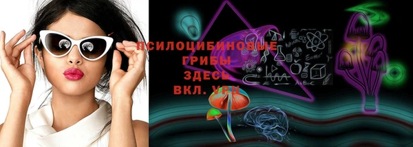 apvp Алзамай