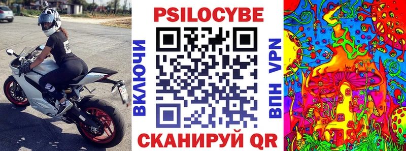 Псилоцибиновые грибы Magic Shrooms  Купить  Мезень 